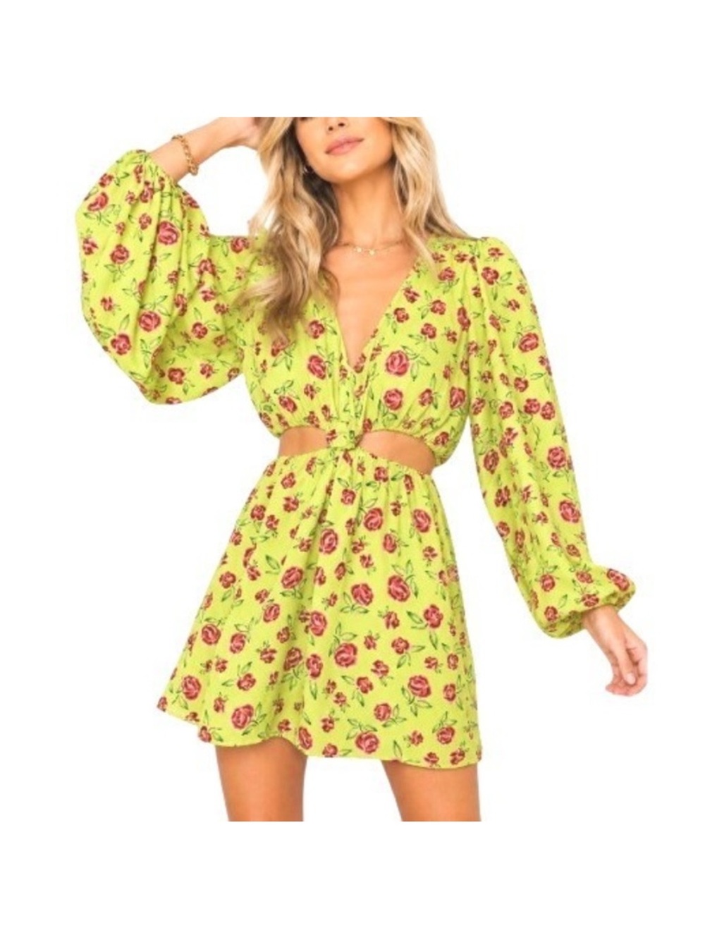 Show me your mumu Floral cut out Mini Dress